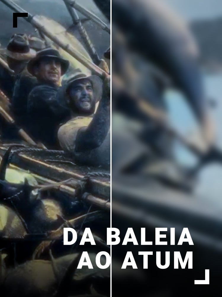 Imagem do Programa / Episiódio - Da Baleia ao Atum