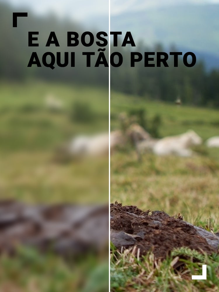 Imagem do Programa / Episiódio - E a Bosta Aqui Tão Perto