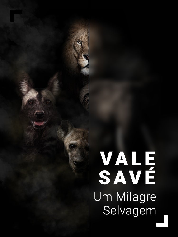 Imagem do Programa / Episiódio - Vale Savé: Um Milagre Selvagem