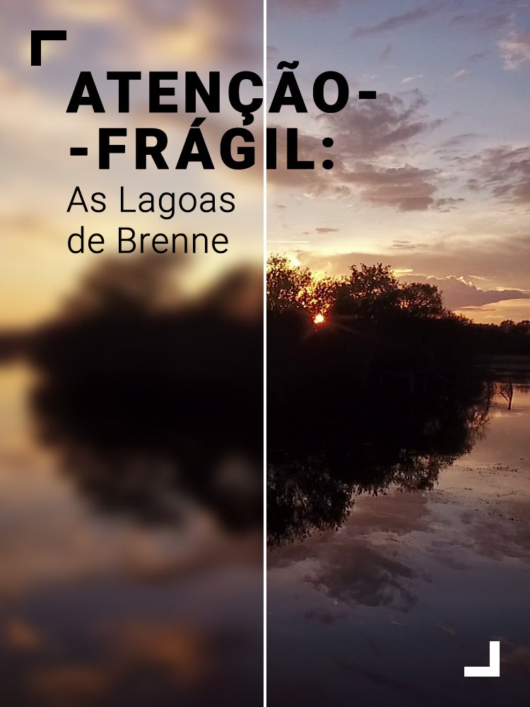 Imagem do Programa / Episiódio - Atenção - Frágil: As Lagoas de Brenne