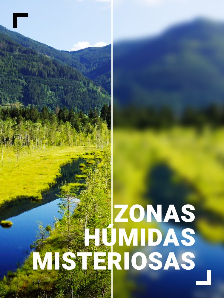Imagem do Programa / Episiódio - Zonas Húmidas Misteriosas