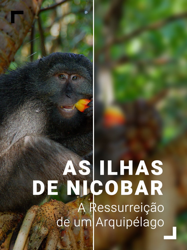 Imagem do Programa / Episiódio - As Ilhas de Nicobar - A Ressurreição de um Arquipélago