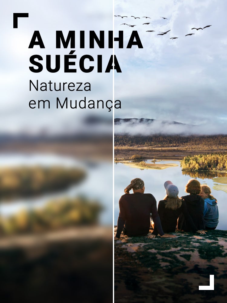 Imagem do Programa / Episiódio - A Minha Suécia - Natureza em Mudança