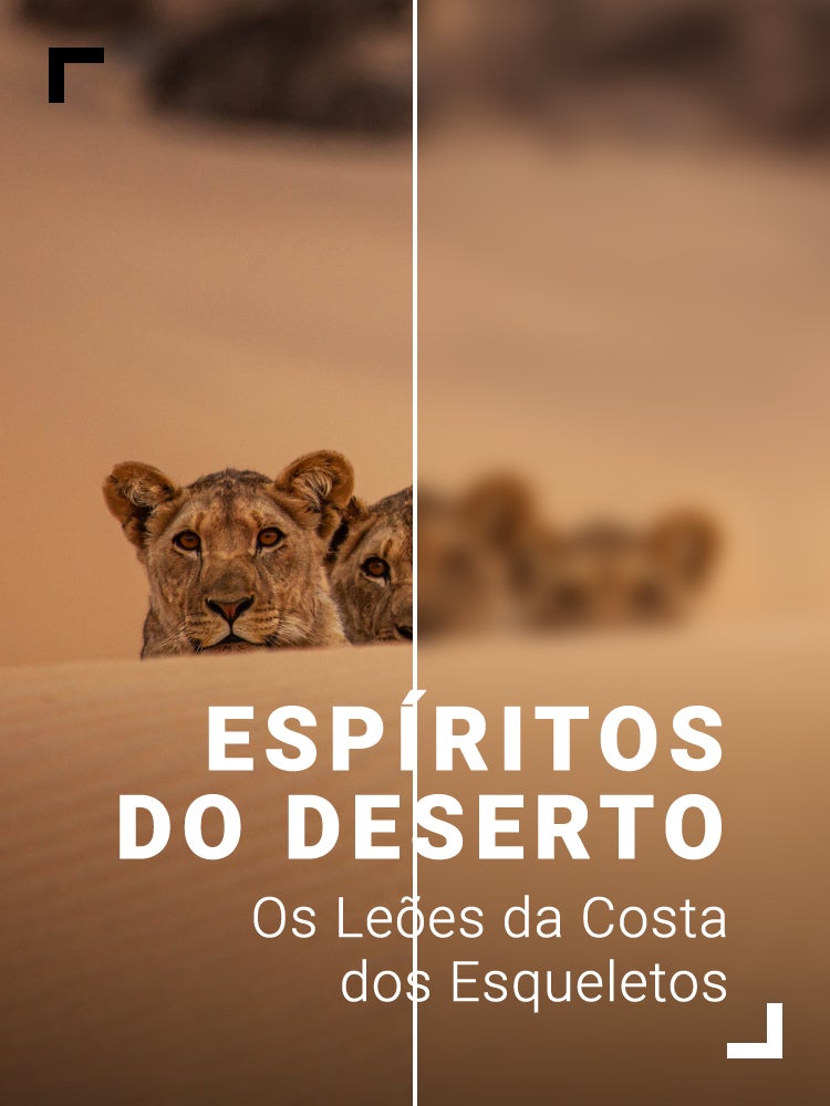 Imagem do Programa / Episiódio - Espíritos do Deserto: Os Leões da Costa dos Esqueletos