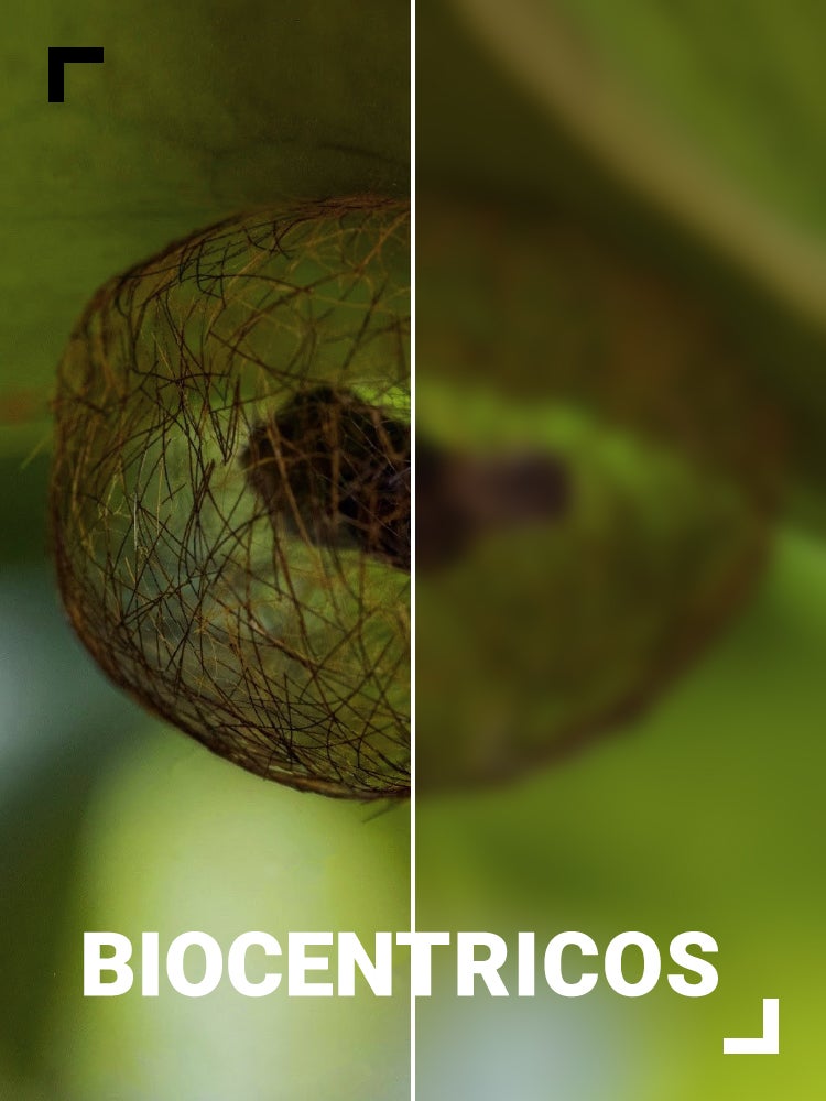 Imagem do Programa / Episiódio - Biocentricos