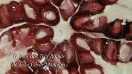 Imagem de O Amor das Tr�s Rom�s