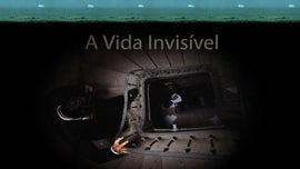 Imagem de A Vida Invis�vel