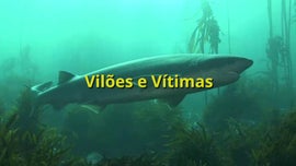 Imagem de O Cabo das Tormentas - (II) - Vil�es e V�timas