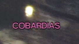 Imagem de Cobardias