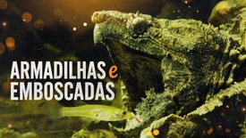 Imagem do Programa / Episiódio - Armadilhas e Emboscadas