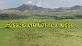 Imagem de Os Dinossauros do Estado Livre Oriental - (III) - F�sseis em Carne e Osso