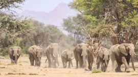 Imagem de As Rainhas da Natureza