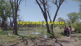 Imagem de O Delta do Okavango - (II) - Explorando o Para�so