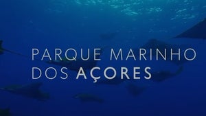 Parque Marinho dos Açores