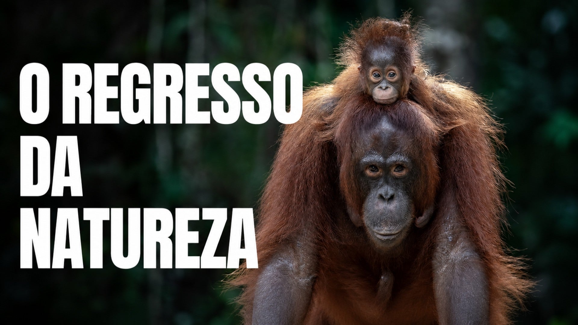 Imagem de O Regresso da Natureza