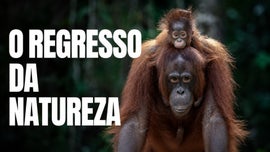 Imagem de O Regresso da Natureza