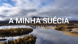 Imagem de A Minha Su�cia - Natureza em Mudan�a