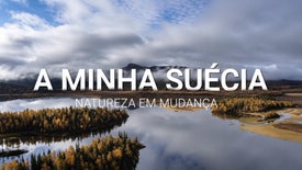 Imagem do Programa / Episiódio - A Minha Suécia - Natureza em Mudança