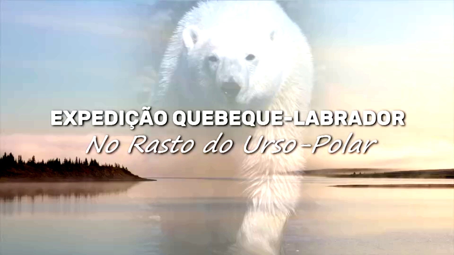 Imagem de Expedição Quebeque-Labrador - No Rasto do Urso-Polar