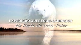 Imagem de Expedi��o Quebeque-Labrador - No Rasto do Urso-Polar