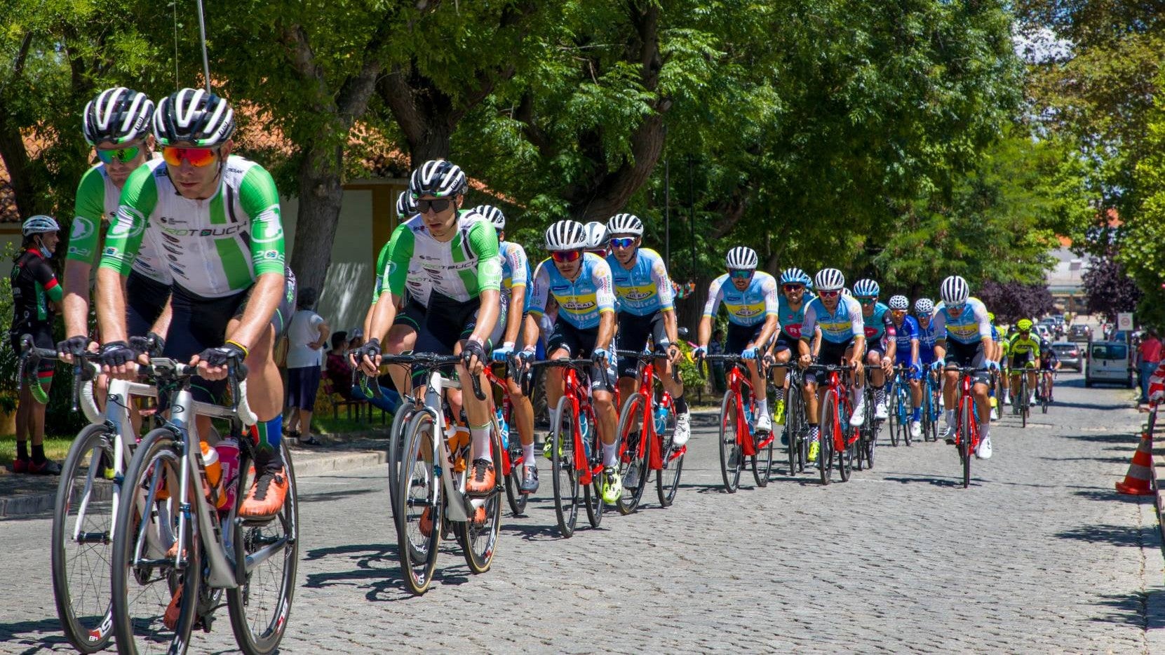 Imagem de Volta ao Alentejo em Bicicleta