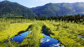 Imagem de Zonas H�midas Misteriosas