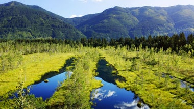 Imagem de Zonas Húmidas Misteriosas
