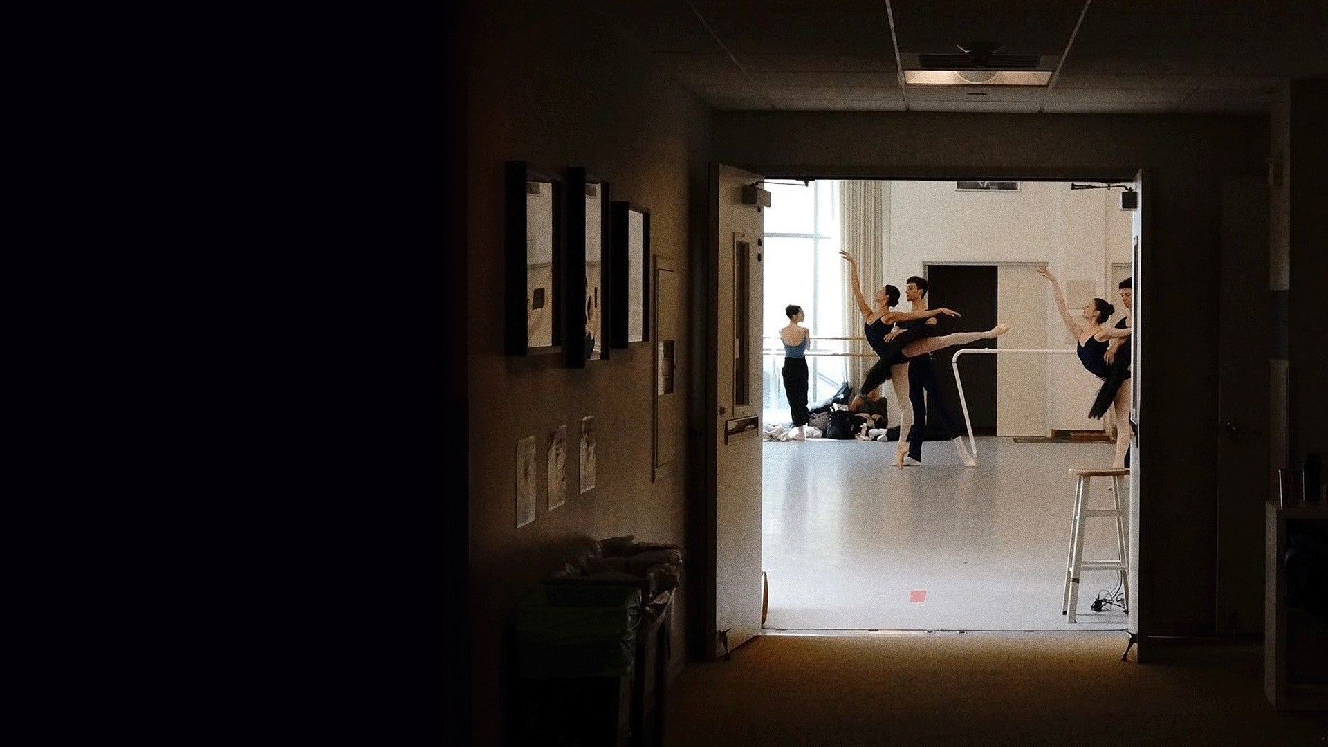 Play - Assim Nasce um Cisne