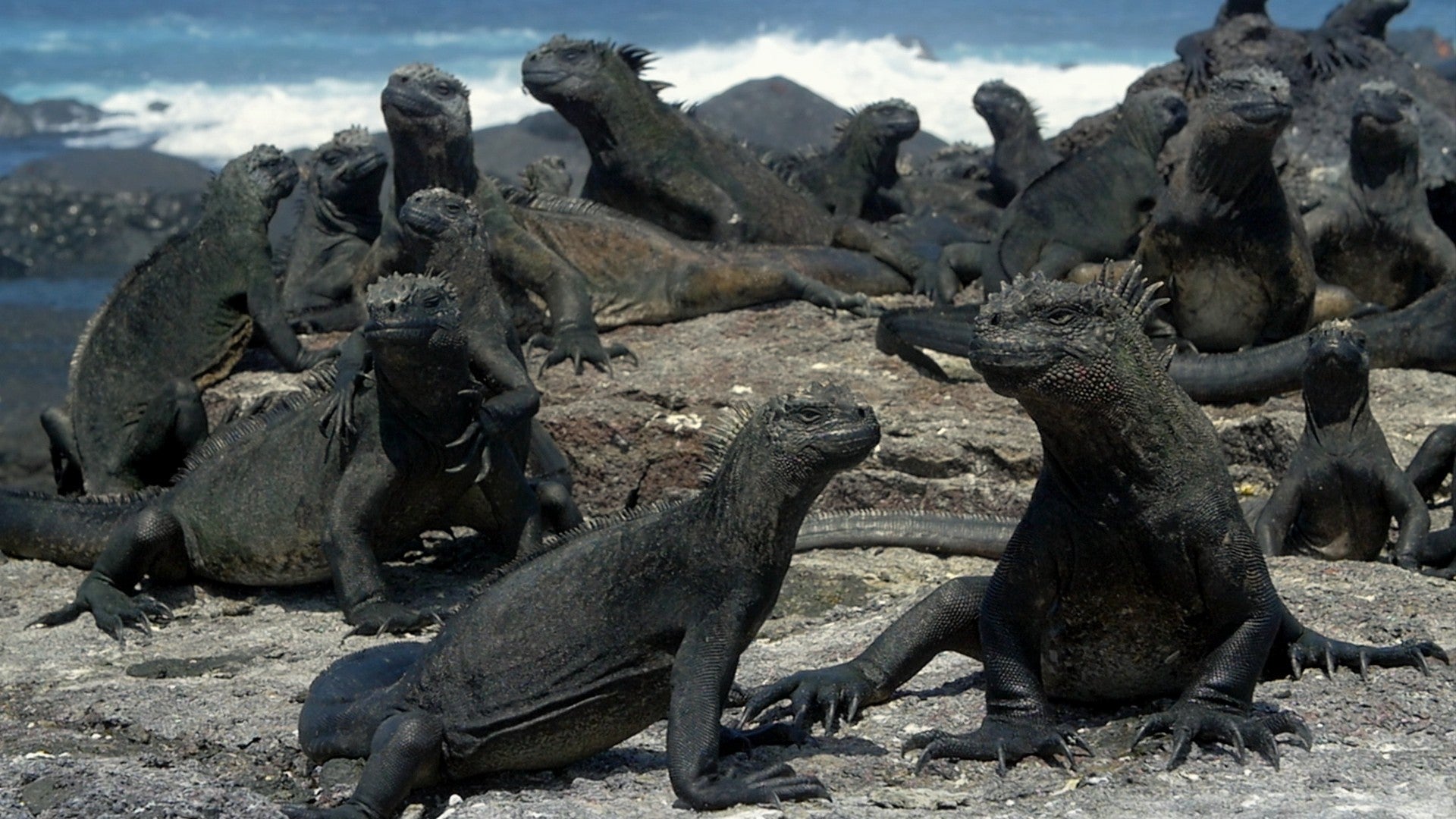 Imagem do Programa / Episiódio - A História da Pele