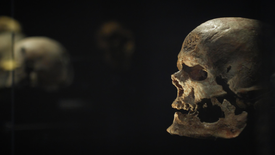 Imagem do Programa / Episiódio - Neandertal: Quem Matou o Nosso Antepassado?