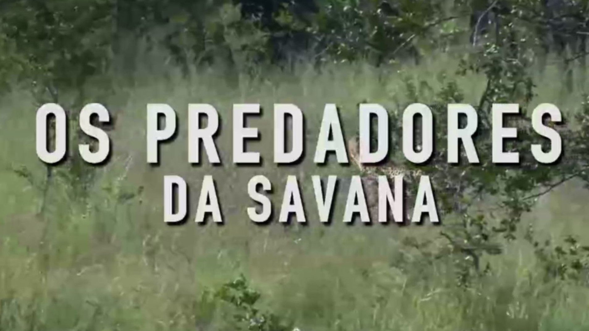 Imagem de Os Predadores da Savana
