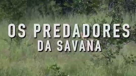 Imagem de Os Predadores da Savana