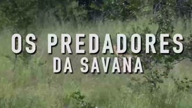 Imagem do Programa / Episiódio - Os Predadores da Savana