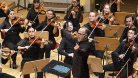 Imagem de Young Euro Classic: Jovem Orquestra Portuguesa com Pedro Carneiro