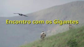 Imagem de Os Dinossauros do Estado Livre Oriental - (II) - Encontro Com os Gigantes