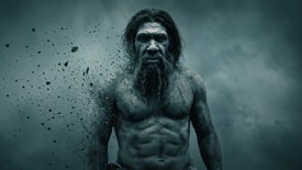 Imagem do Programa / Episiódio - As Últimas Pegadas do Neandertal