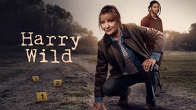 Imagem do Programa / Episiódio - Harry Wild