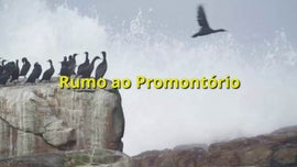 Imagem de O Cabo das Tormentas - (III) - Rumo ao Promont�rio