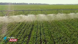 Imagem de O Futuro da Agricultura em Portugal