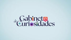 Imagem de Gabinete de Curiosidades
