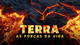 Imagem de Terra: As For�as da Vida
