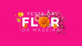 Imagem de Cortejo da Flor
