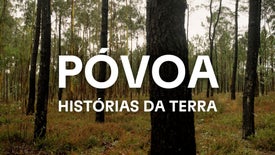 Imagem do Programa / Episiódio - Póvoa: Histórias da Terra