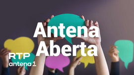 Imagem de A persist�ncia da viol�ncia dom�stica