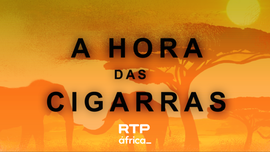 Imagem de A Hora das Cigarras