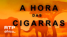 Imagem de A Hora das Cigarras