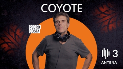 Play - Coyote