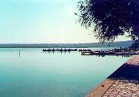 Imagem de I Feira dos Grelos