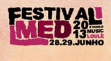Festival MED 2013
