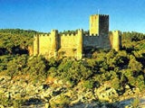 Imagem de Castelo de Almourol